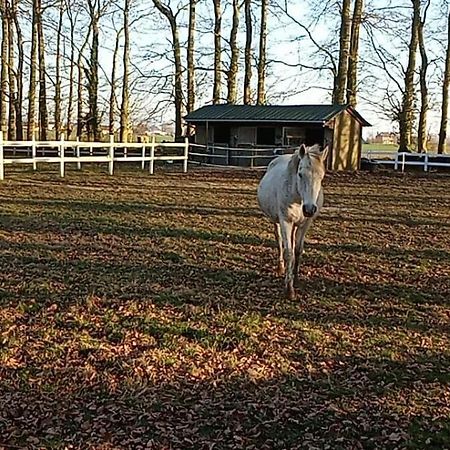 La Hetraie Villa Vergetot Bagian luar foto